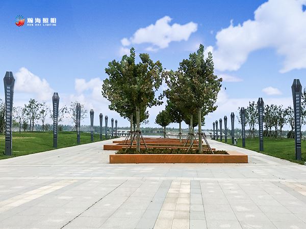 濱州白鷺湖濕地2